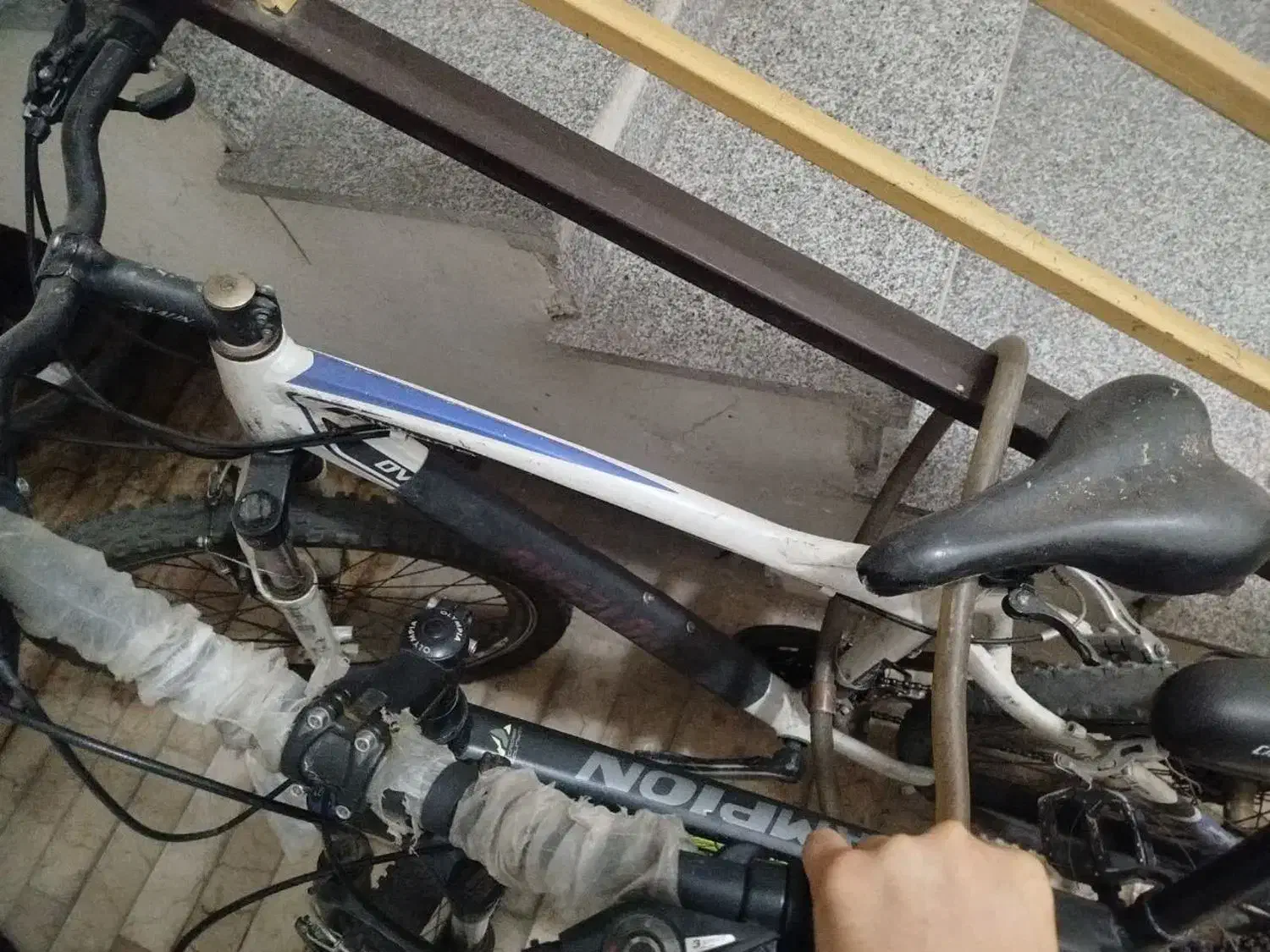 دوچرخه المپیا|دوچرخه، اسکیت، اسکوتر|قم, پردیسان|دیوار