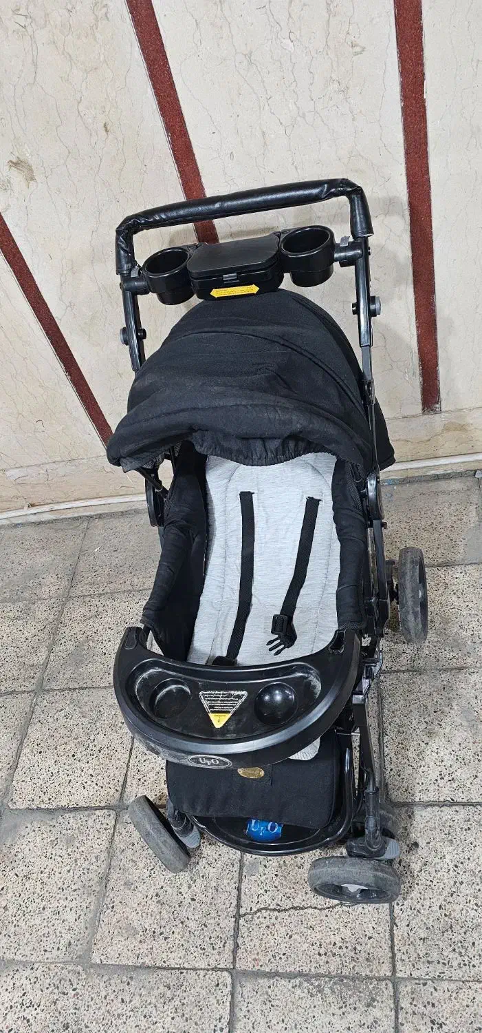 کالسکه دلیجان|کالسکه و لوازم جانبی|تهران, باغ خزانه|دیوار