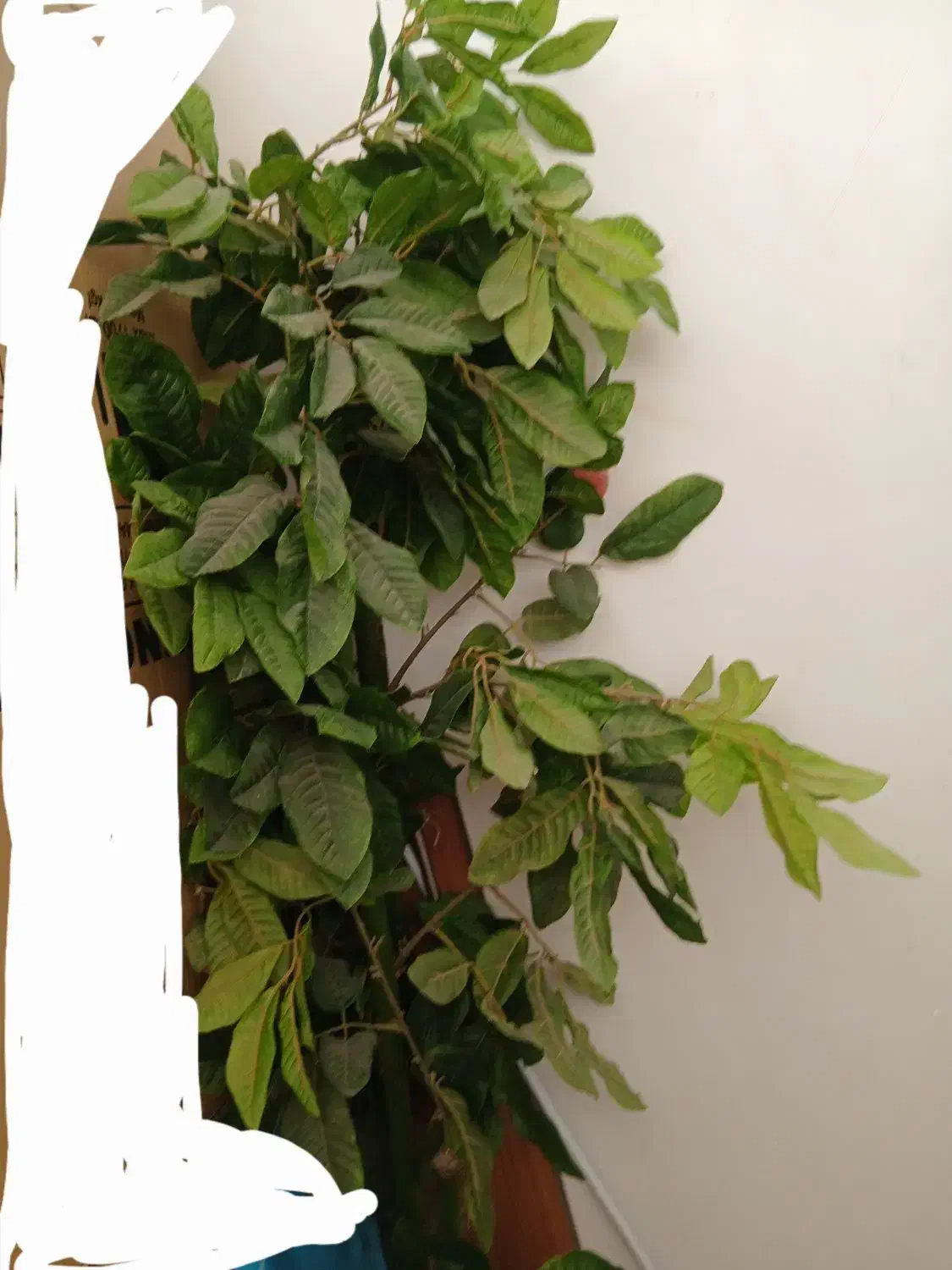 گل مصنوعی|گل مصنوعی|طرقبه, |دیوار