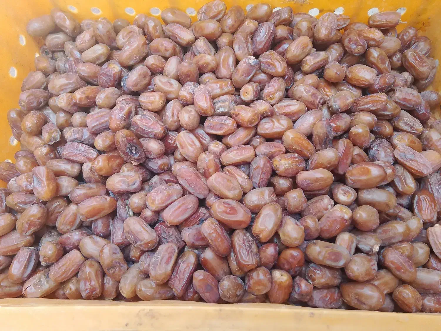 خاش فروش|خوردنی و آشامیدنی|خاش, |دیوار