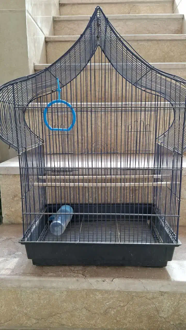 قفس در حد|لوازم جانبی حیوانات|قم, انسجام|دیوار