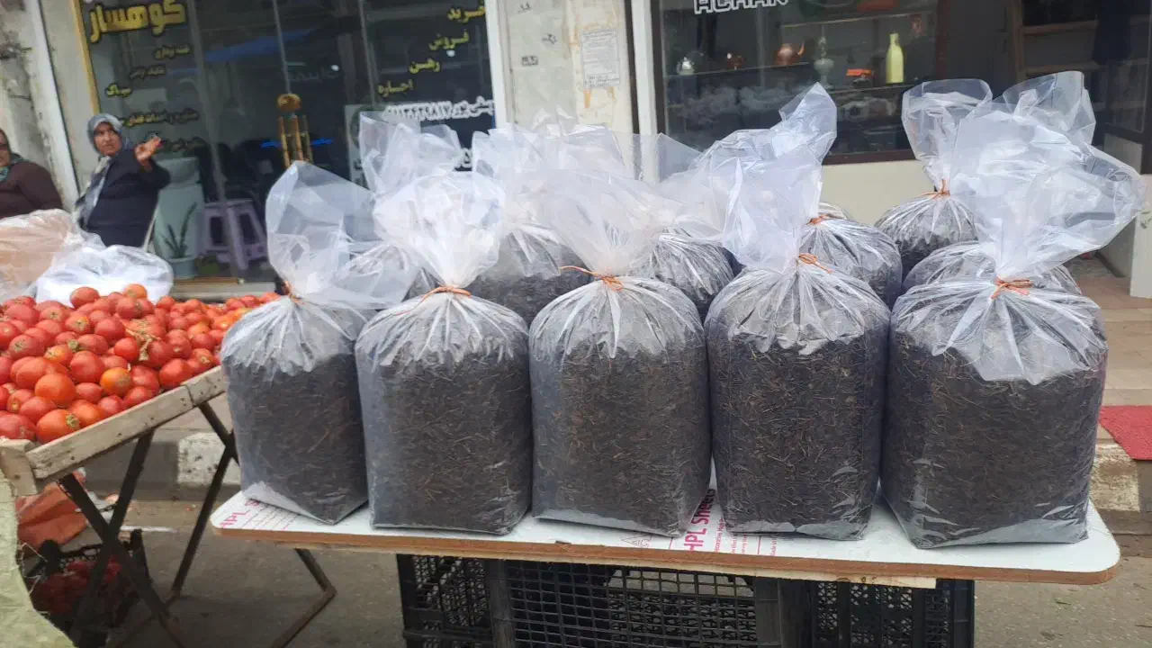 چای قهوه خانه فقط و فقط 50|خوردنی و آشامیدنی|کومله, |دیوار