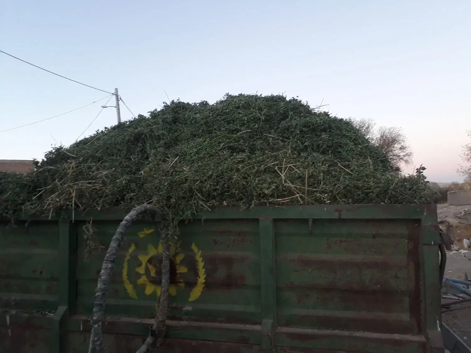 یونجه درجه یک کامل برگ|حیوانات مزرعه|دهگلان, |دیوار