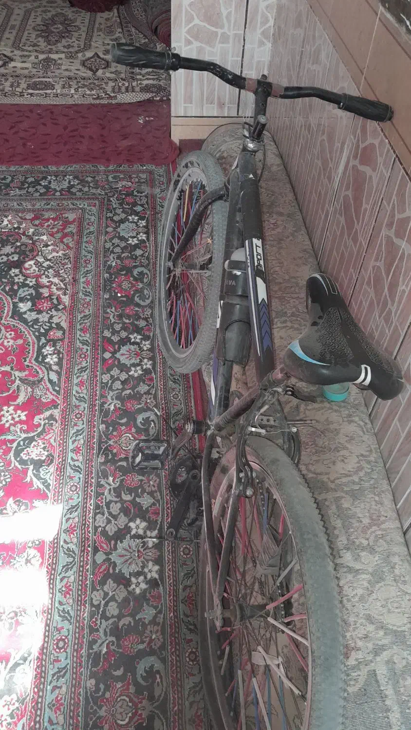دوچرخه 26 ویوا|دوچرخه، اسکیت، اسکوتر|زابل, |دیوار
