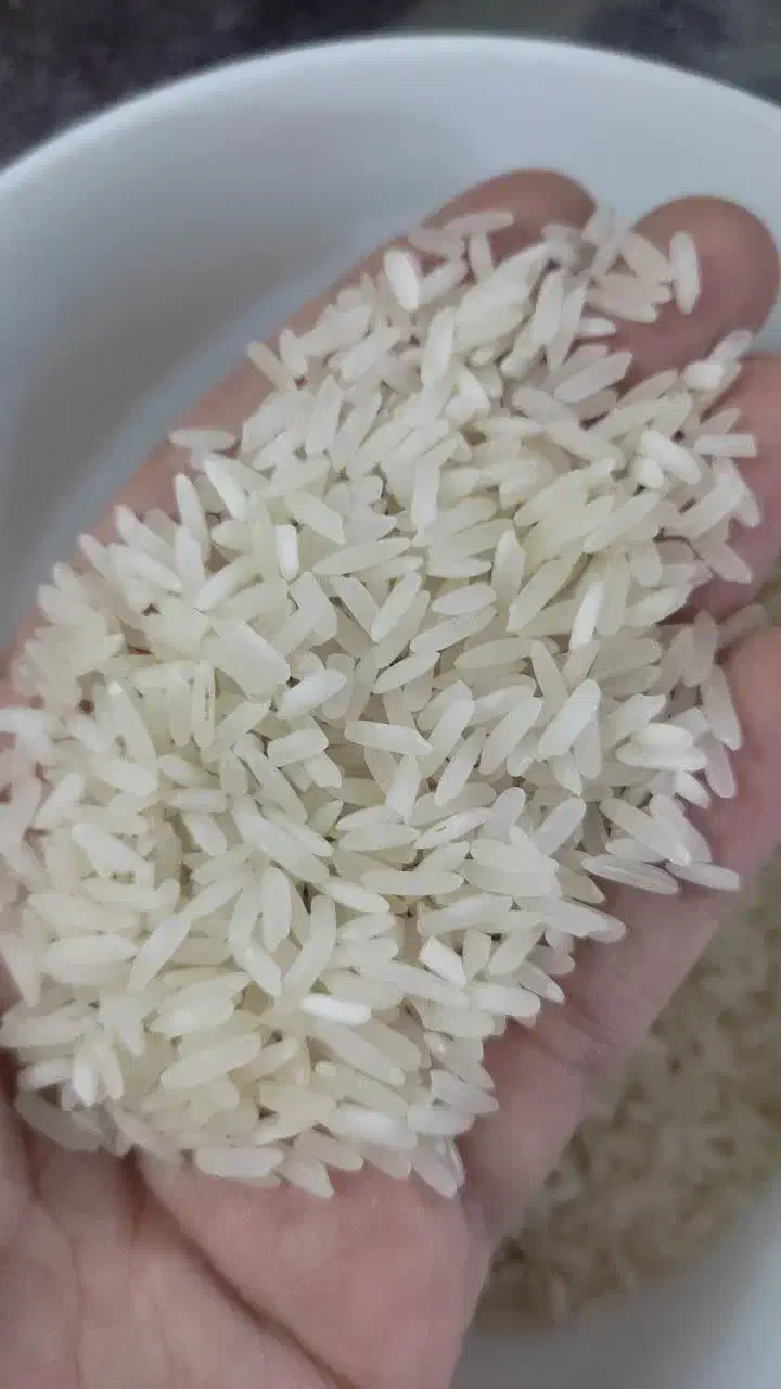 برنج ایرانی ارزان|خوردنی و آشامیدنی|گلبهار, شهر جدید گلبهار|دیوار