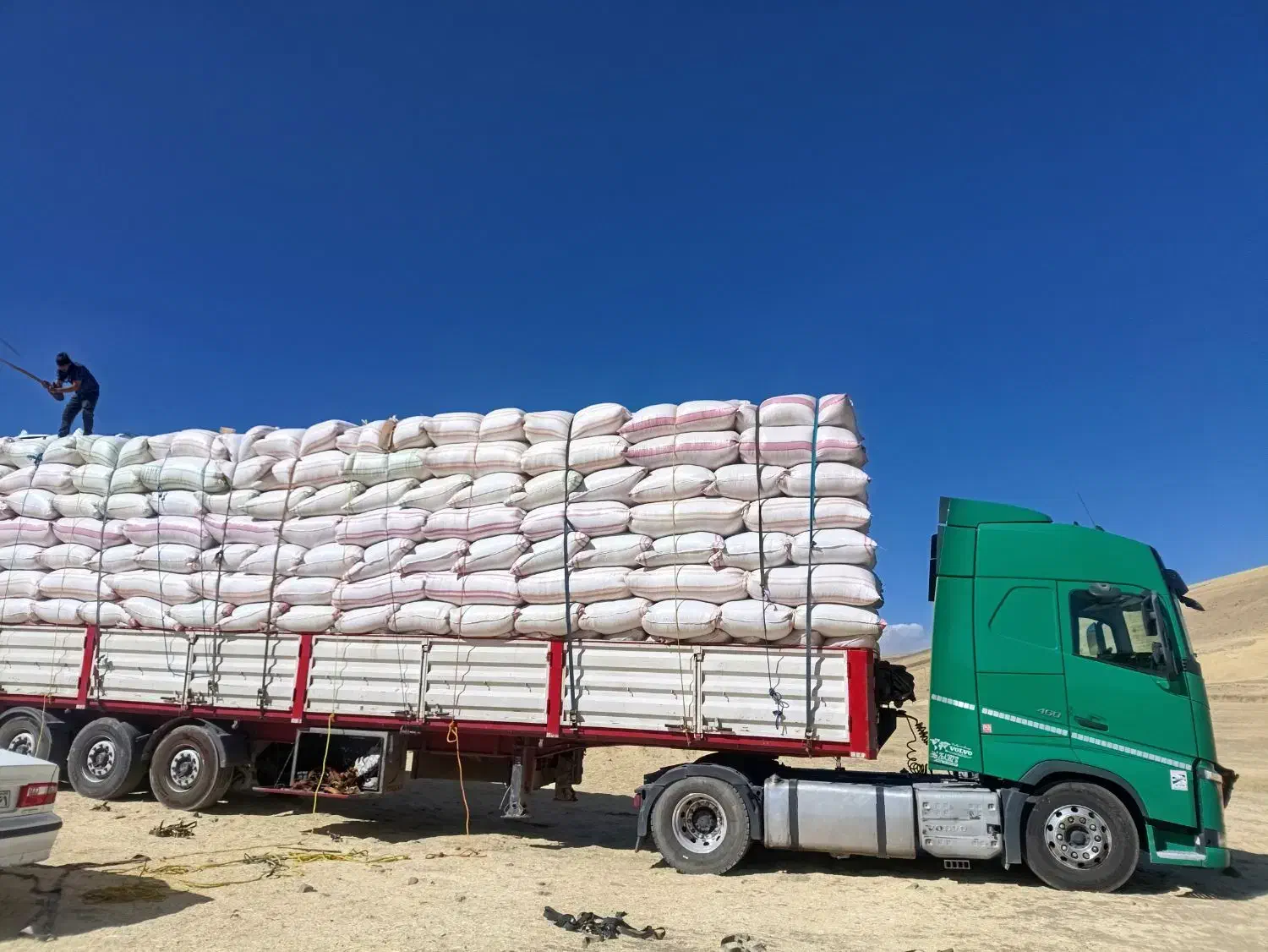 تریلی کاه درجه یک|لوازم جانبی حیوانات|خاش, |دیوار