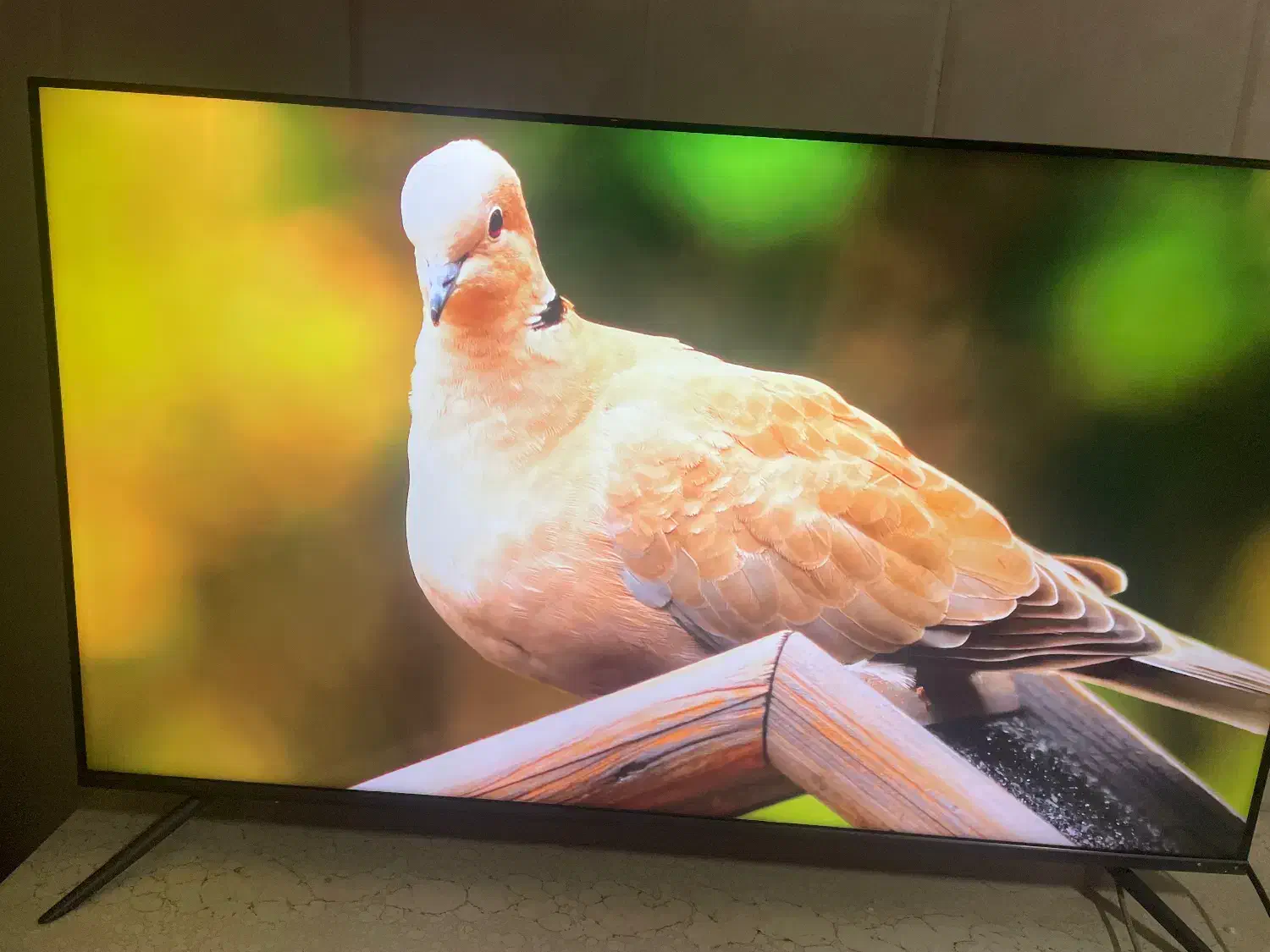 تلوزیون 50 اینچ جی پلاس4k اسمارت استوک نمایشگاهی|تلویزیون و پروژکتور|تهران, اکباتان|دیوار