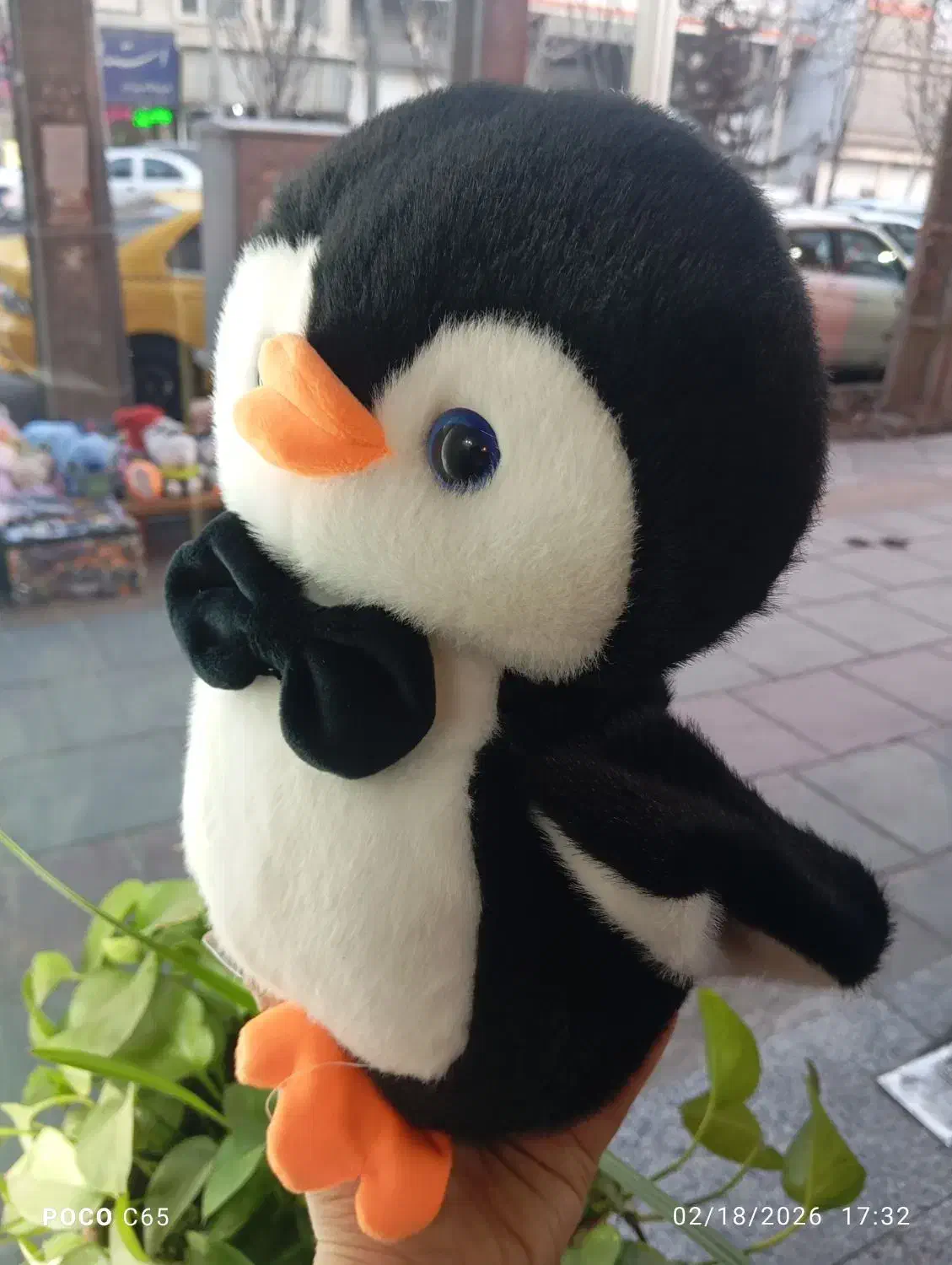 پنگوئن گوگولی|کلکسیون و سرگرمی|کرج, اصفهانی‌ها|دیوار