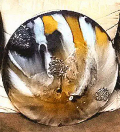 میزعسلی|مبلمان خانگی و میز عسلی|همدان, |دیوار