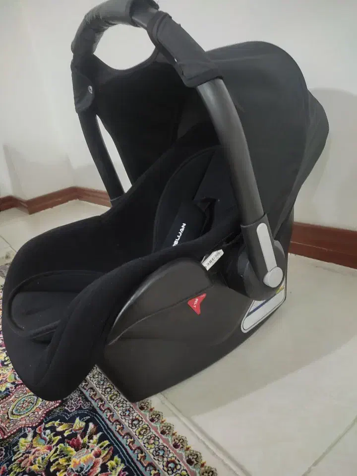 کریر دلیجان|کالسکه و لوازم جانبی|رودهن, |دیوار