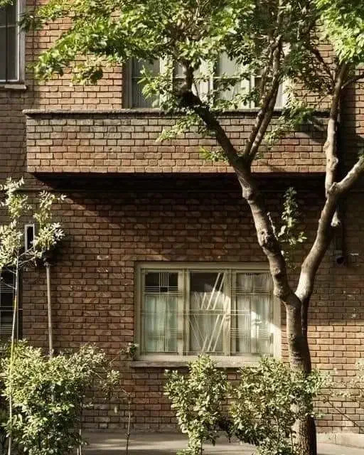 خدمات نظافتی تابان|خدمات نظافت|مشهد, طبرسی شمالی|دیوار