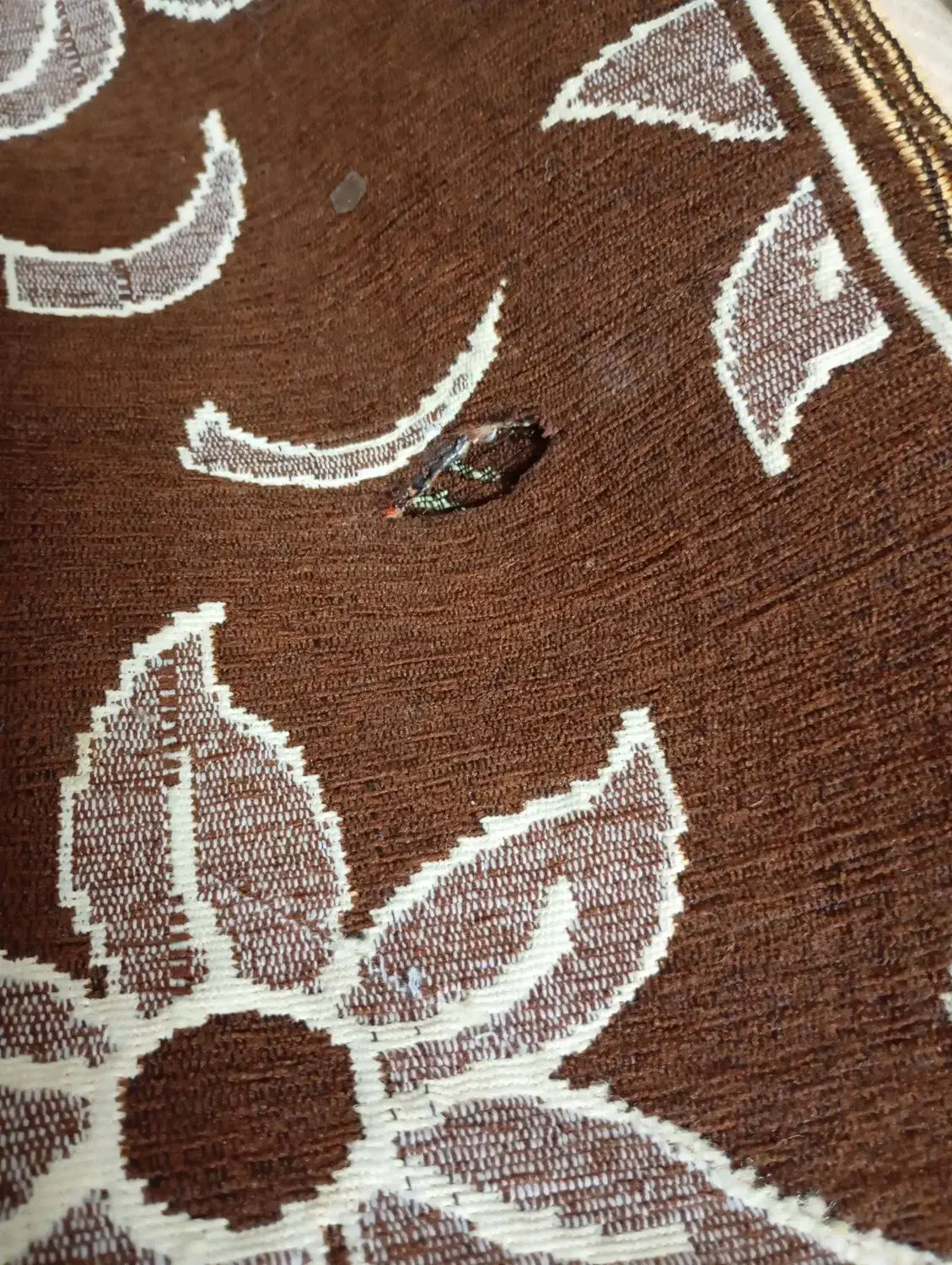 روفرشی های تمیزودرحدنو|روفرشی|میبد, |دیوار