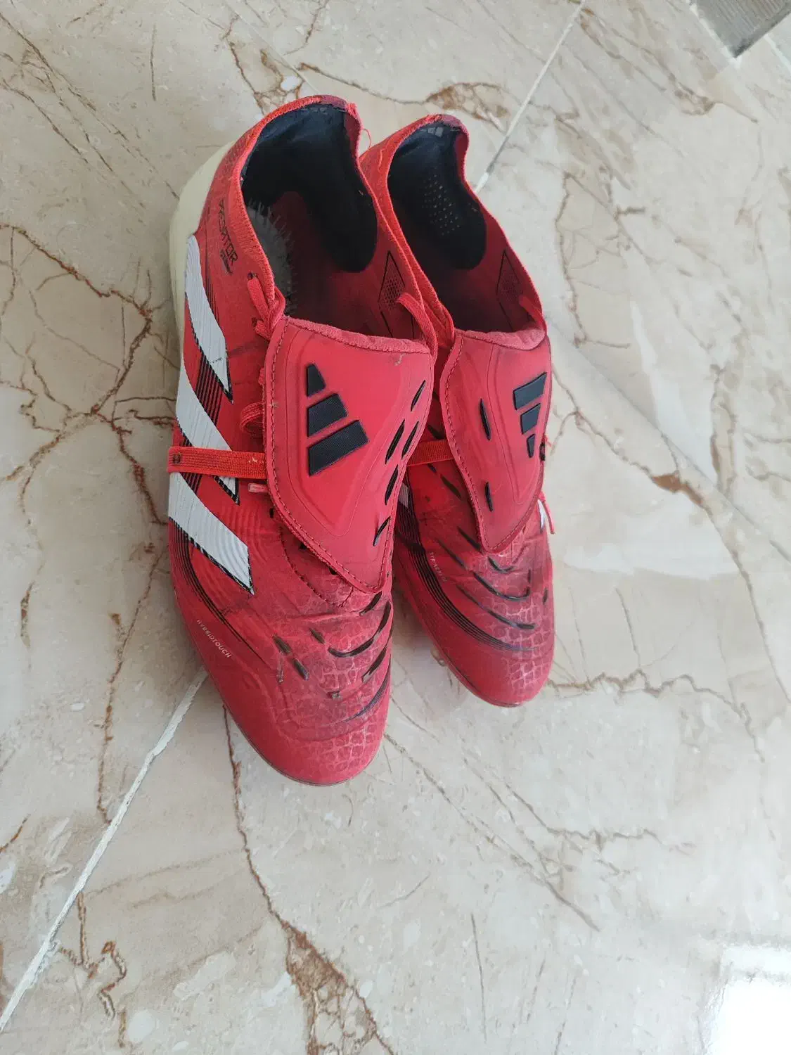 استوک پرداتور بلینگام|کیف، کفش، کمربند|نقده, |دیوار