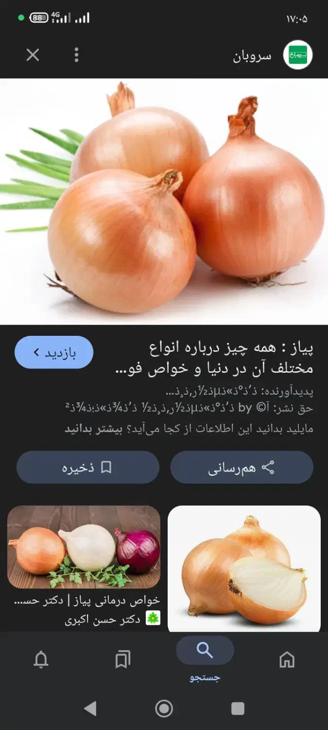 پیاز درجه یک|حراج|دورود, |دیوار