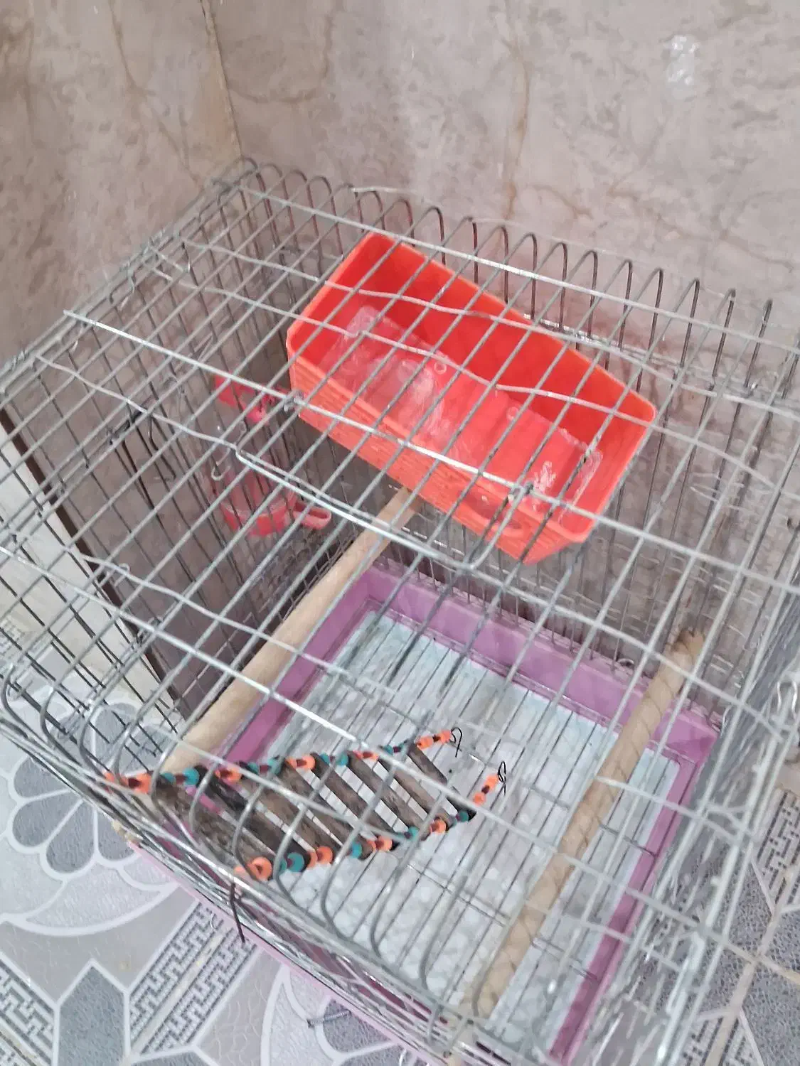 قفس مرغ عشق|لوازم جانبی حیوانات|مریوان, |دیوار