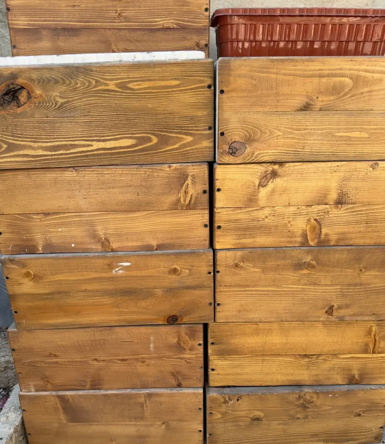 دکور گل و گلدان چوب روس|گل و گیاه طبیعی|شیراز, شهرک مطهری|دیوار