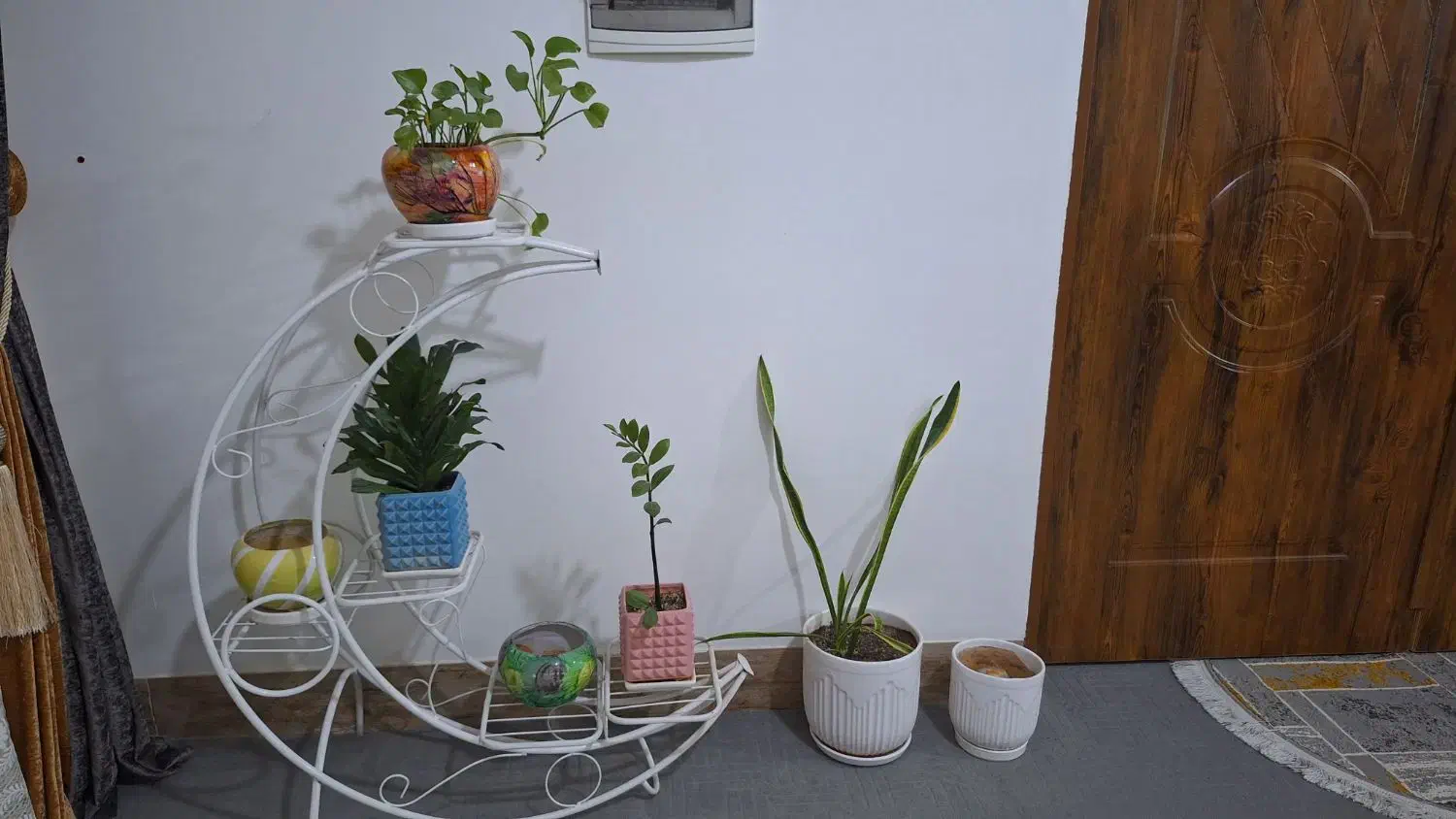 استندگل همراه با گل و گلدان|گل و گیاه طبیعی|زاهدان, |دیوار