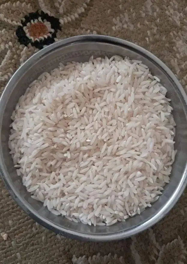 برنج کاملا ارگانیک و درجه یک محصول مزرعه خودم|خوردنی و آشامیدنی|رشت, باهنر|دیوار