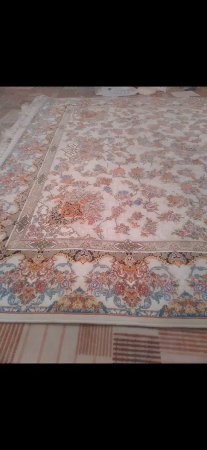 فرش ۶ متری ۱۲۰۰ شانه جفت|فرش|تبریز, |دیوار