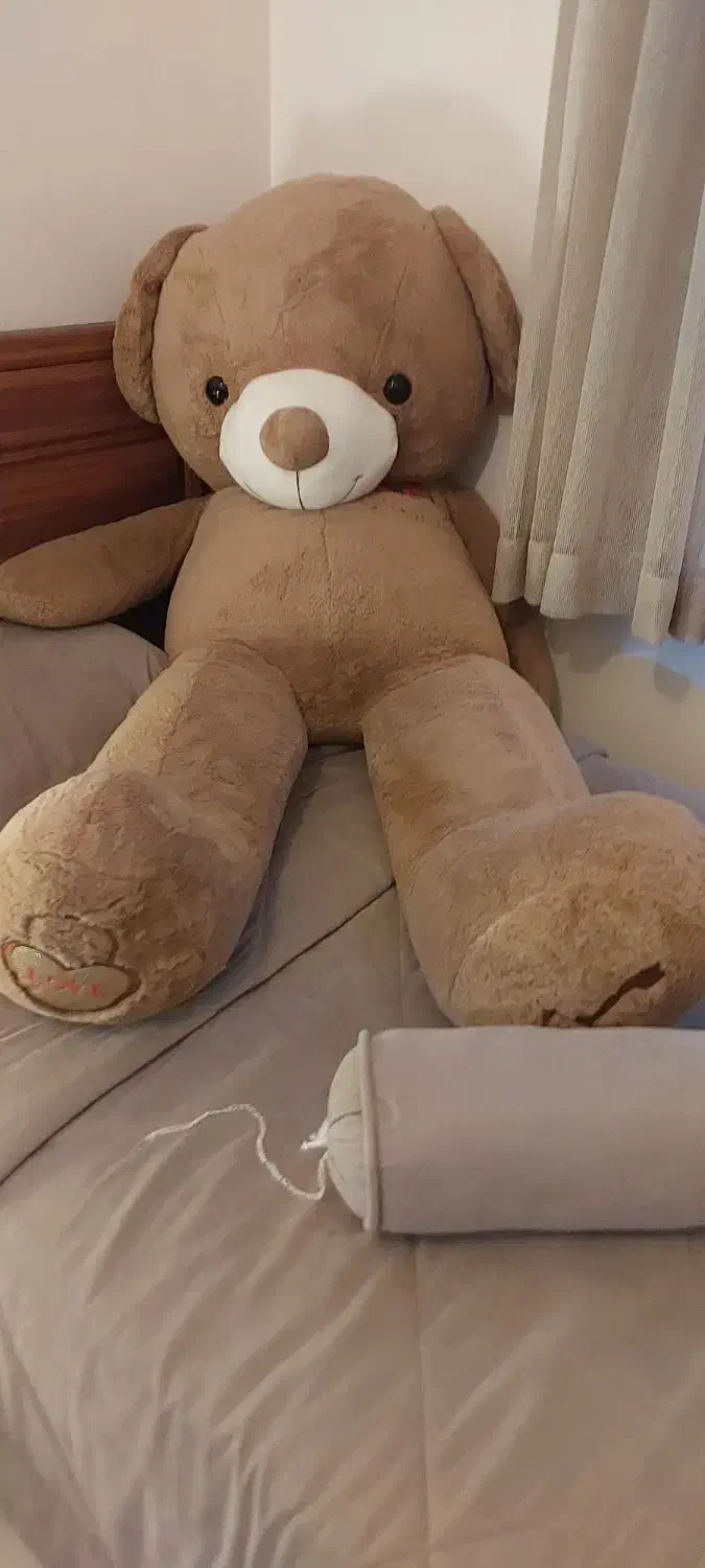 خرس  سایزبزرگ|اسباب‌بازی بچه|کرج, فاز ۴ مهرشهر|دیوار