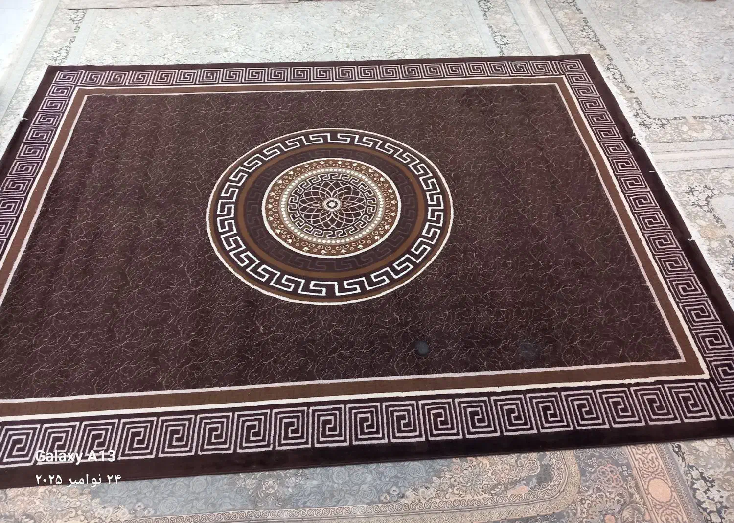 گلیم فرش پرز دار ۱۲ متری|فرش|الیگودرز, |دیوار