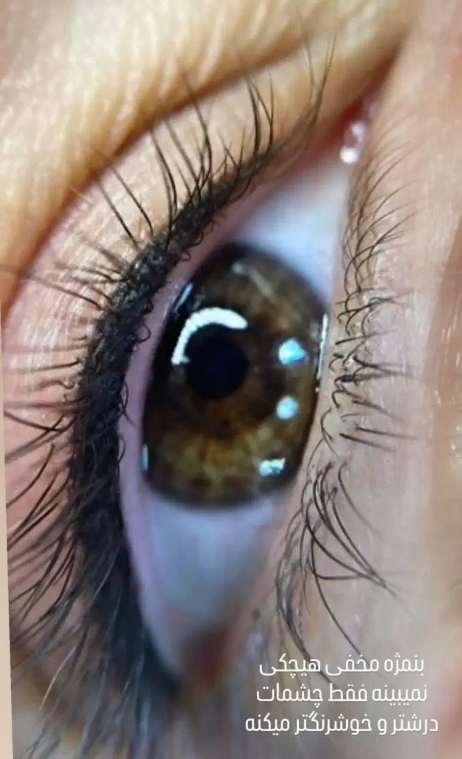 تخفیف ویژه فیبروز مویی یلدایی و روز مادر تا ۲۰اذر|خدمات آرایشگری و زیبایی|شیراز, خلدبرین|دیوار