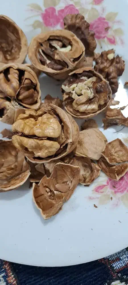 خشکبار بوانات|خوردنی و آشامیدنی|شیراز, دباغ خانه|دیوار