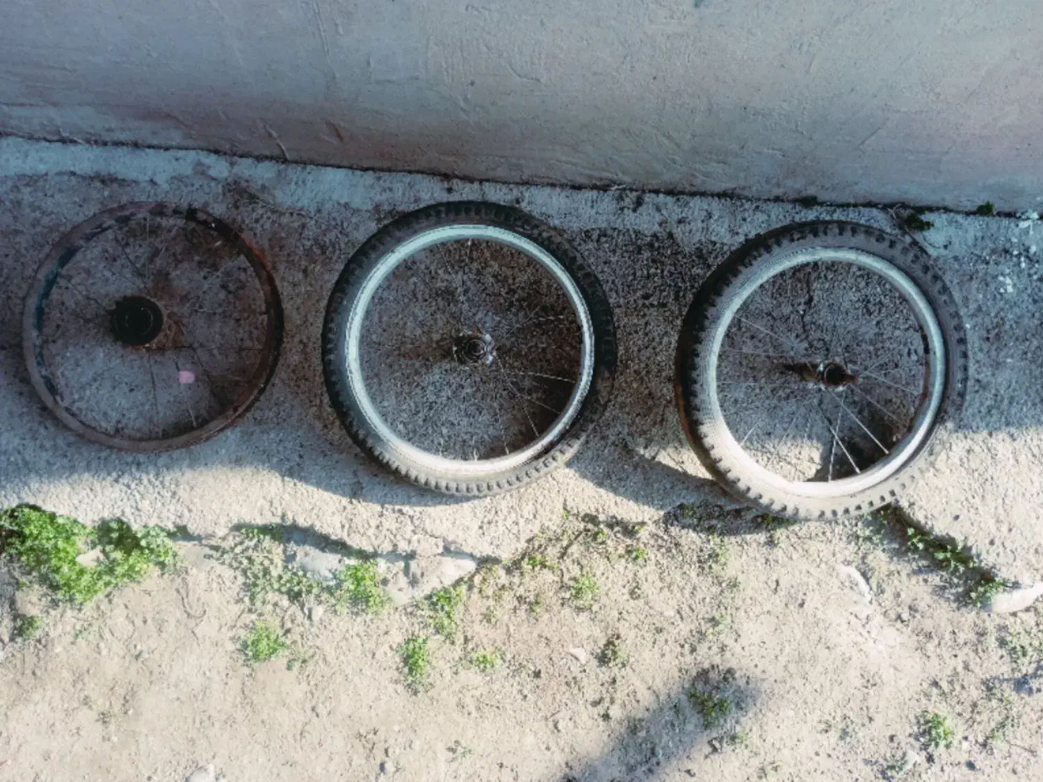 رینگ|حراج|خان ببین, |دیوار