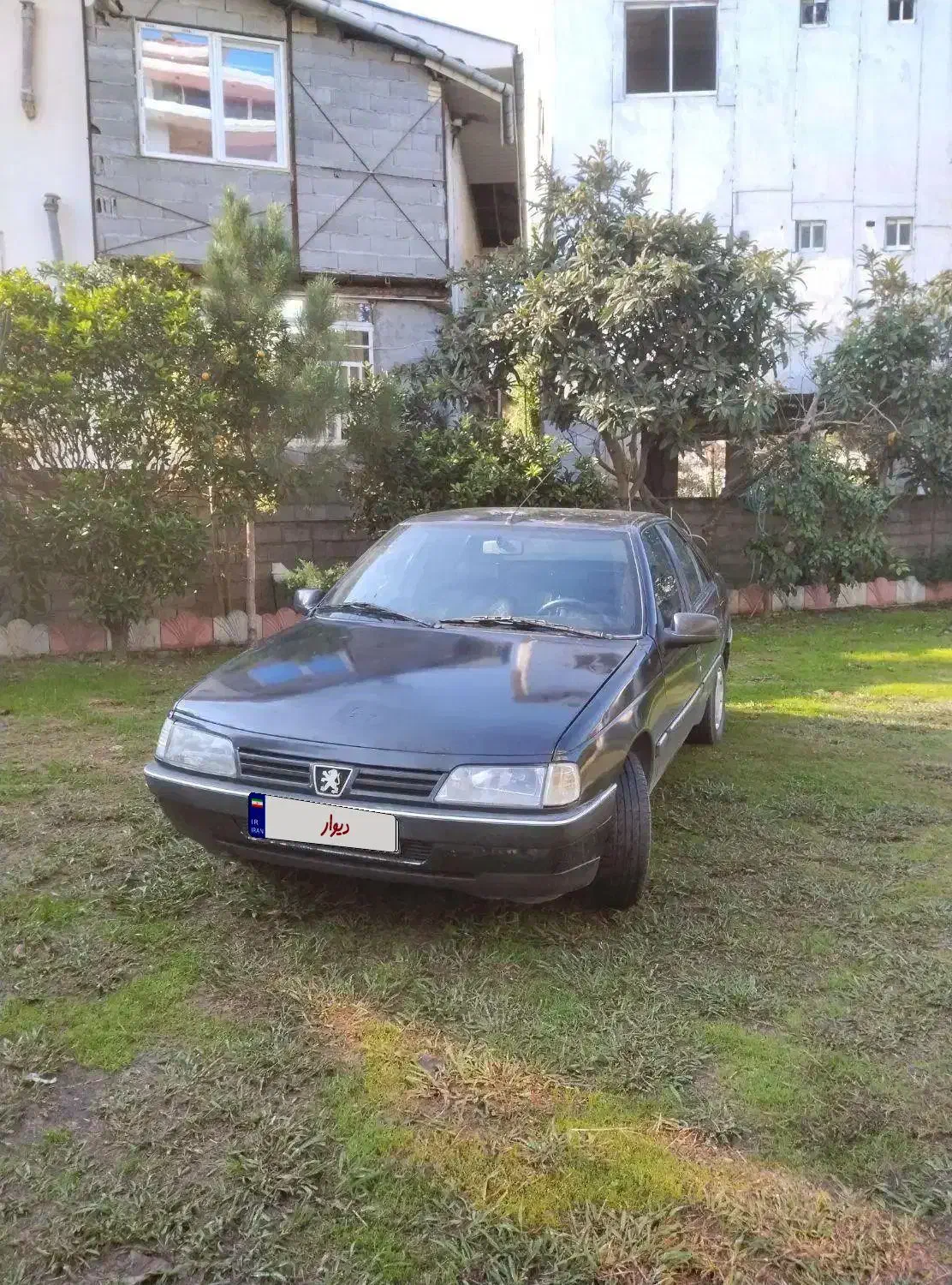 پژو 405 مدل 83|خودرو سواری و وانت|کتالم و سادات شهر, |دیوار