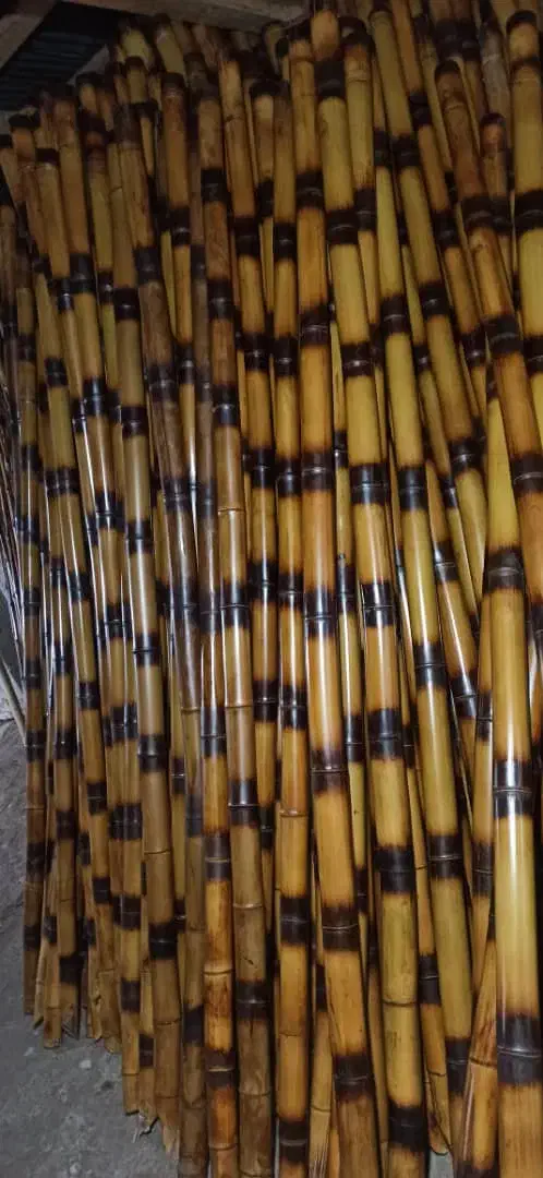 چوب بامبو....|مصالح و تجهیزات ساختمان|تهران, پیکان شهر|دیوار