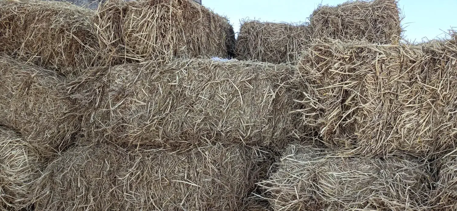 پرس کاه برنج|حیوانات مزرعه|مه ولات, |دیوار