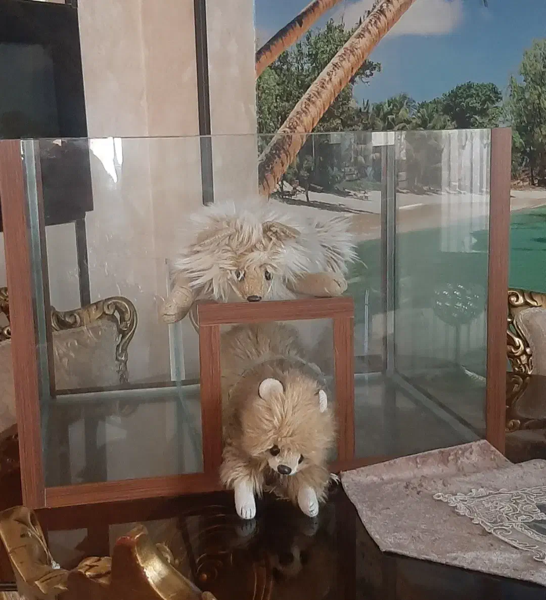 آکواریوم حیوانات|لوازم جانبی حیوانات|تهران, جنت‌آباد مرکزی|دیوار