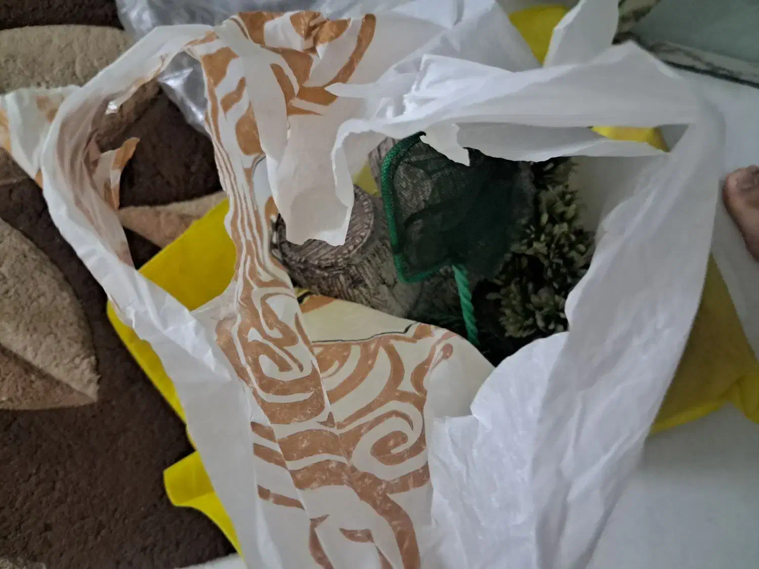 آکواریوم با تمام تجهیزات|ماهی|اندیشه, اندیشه فاز ۵|دیوار