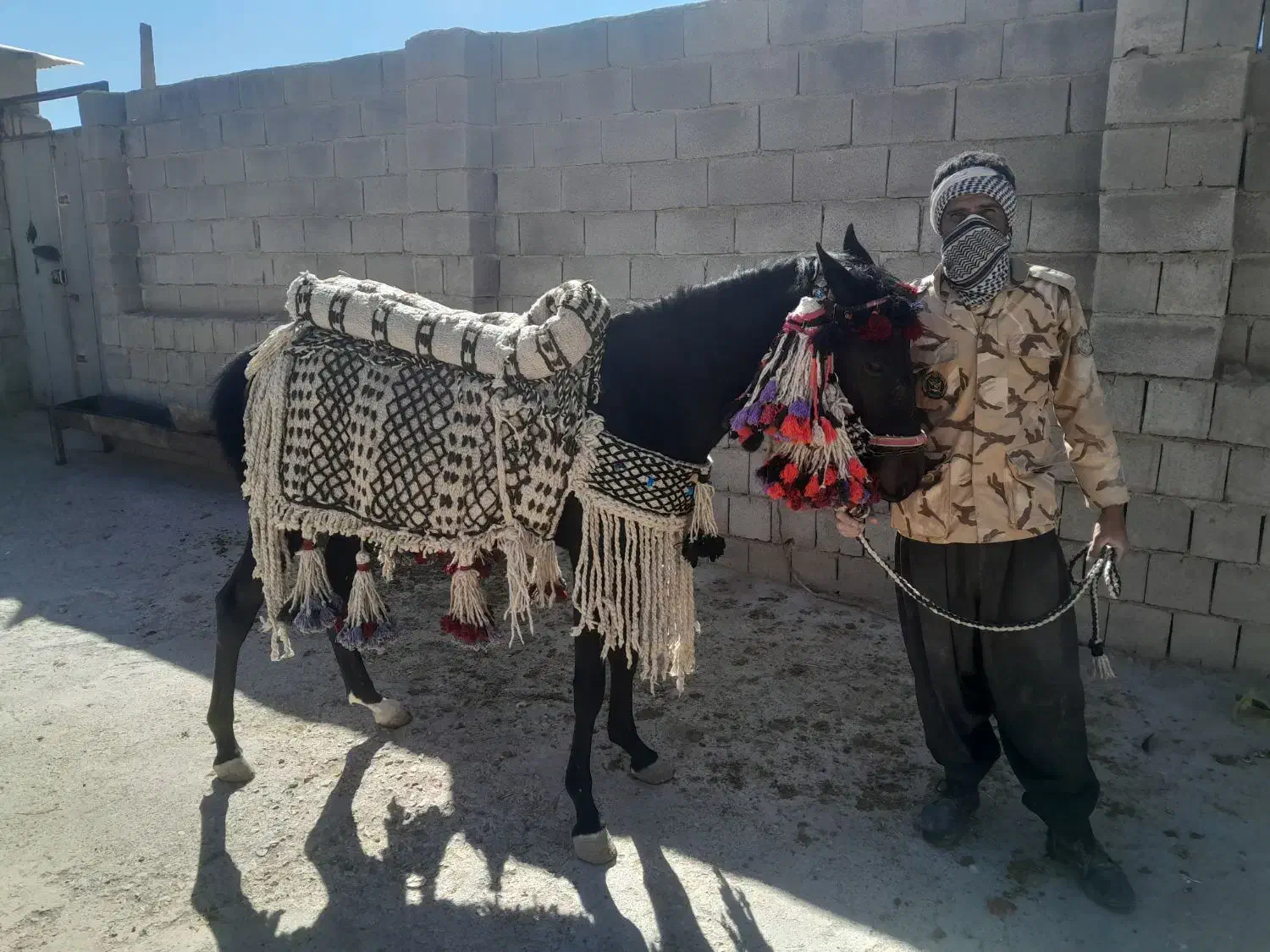 جل وکله گیر اسب|اسب و تجهیزات اسبسواری|ماهیدشت, |دیوار