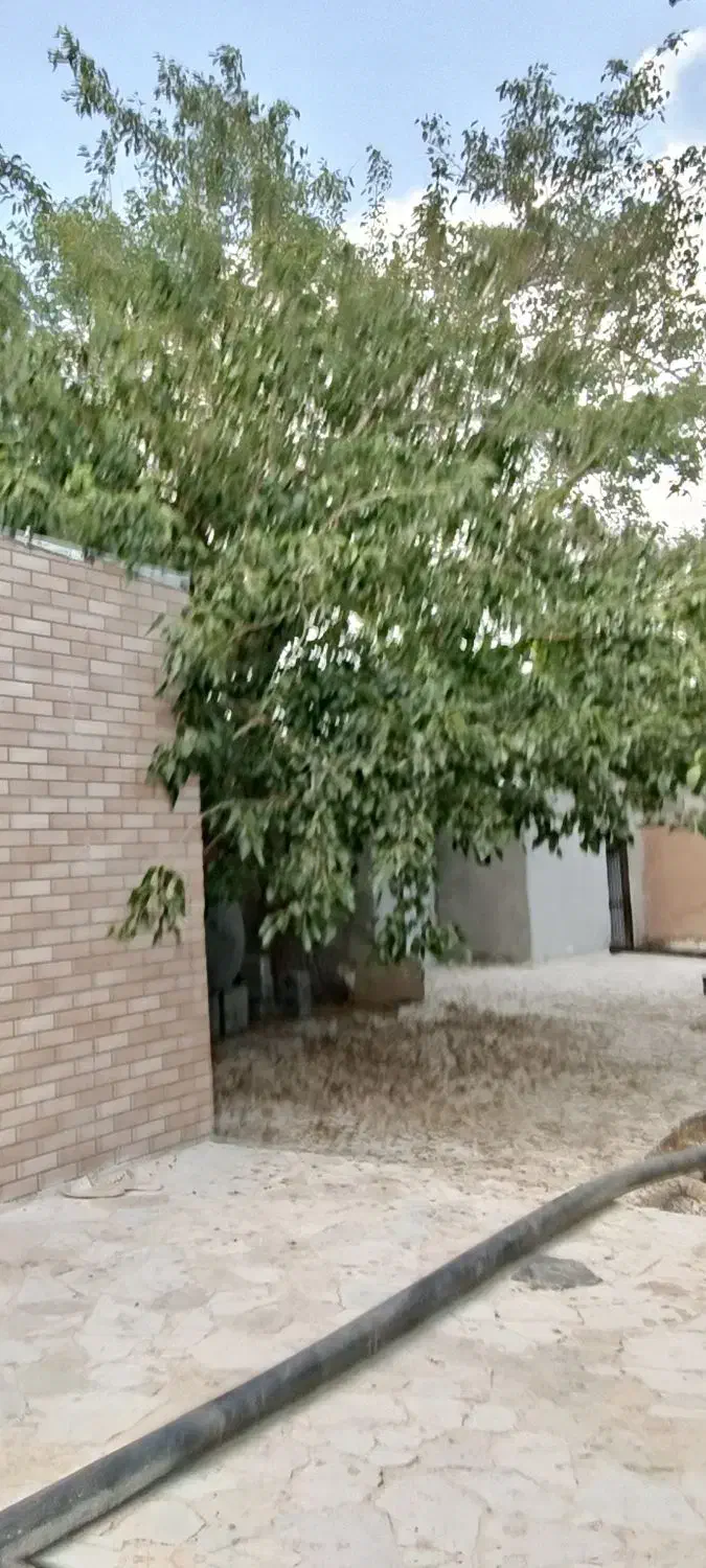 فروش باغ ۲۰۰۰ متری بهمن|فروش زمین و ملک کلنگی|بهمن صغاد, |دیوار