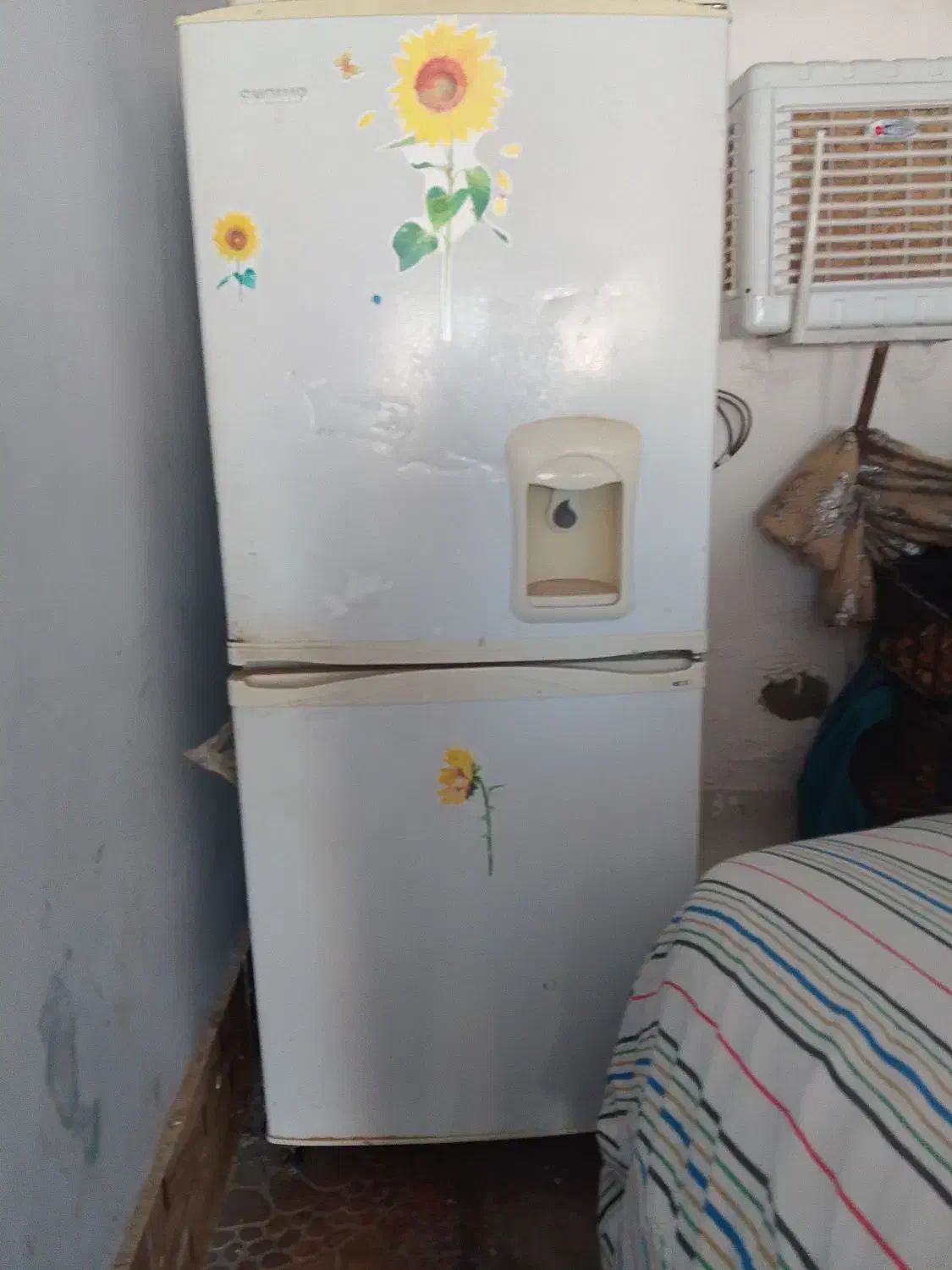 یخچال فریزر اسنوا|یخچال و فریزر|گالیکش, |دیوار