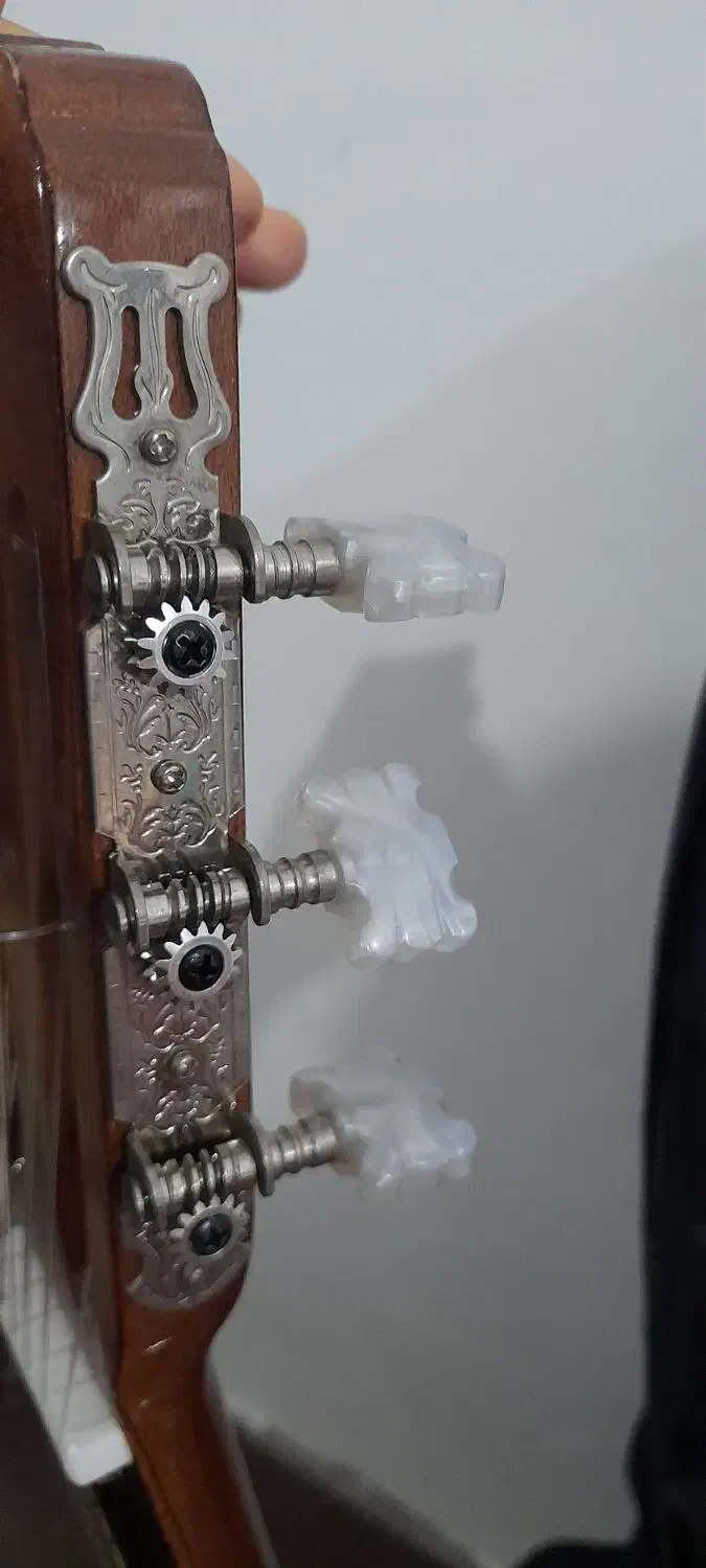 گیتار c50|گیتار، بیس، امپلیفایر|کلاله, |دیوار