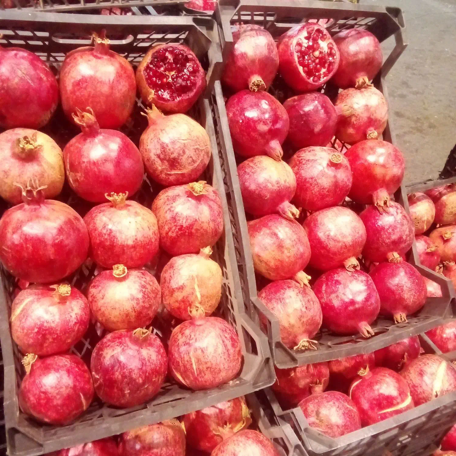 تهیه میوه تره بار از میدان تهران|خدمات پذیرایی، مراسم|لنگرود, |دیوار