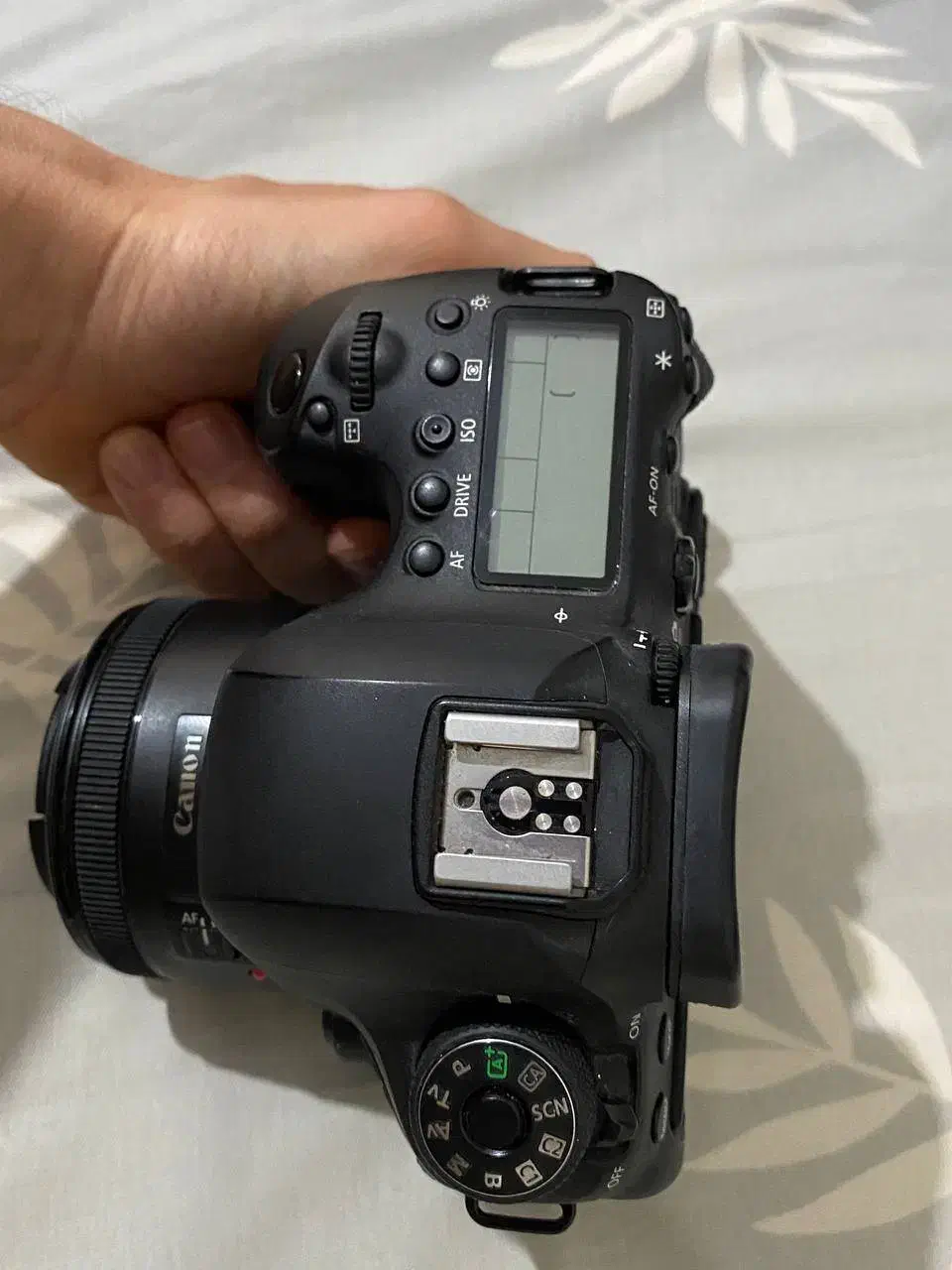 Canon 6d mark 2|دوربین عکاسی و فیلم‌برداری|تهران, قاسم‌آباد|دیوار