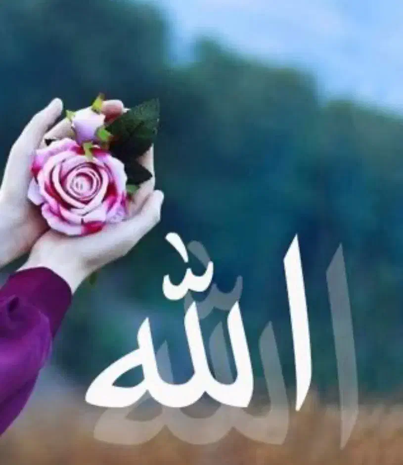 حضوری و مجازی دعا|خدمات پذیرایی، مراسم|بندرعباس, |دیوار