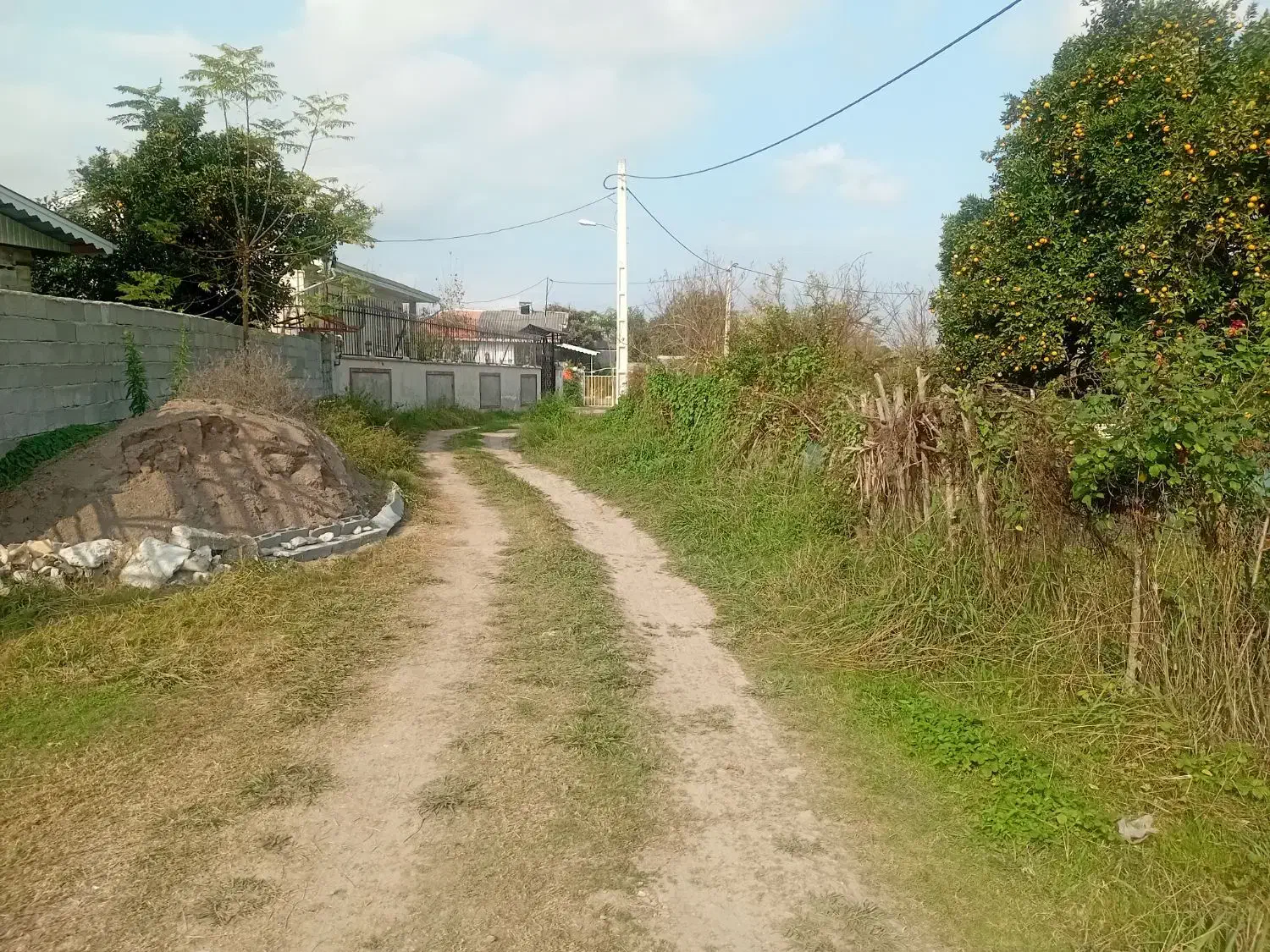 فروش زمین ۴۶۵متری|فروش زمین و ملک کلنگی|شاندرمن, |دیوار