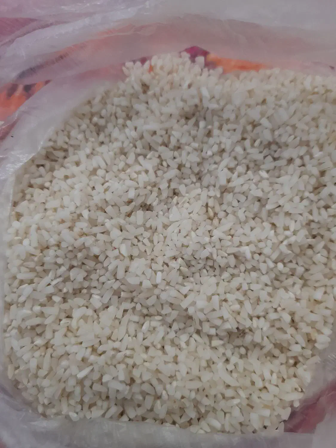 برنج نیم دانه هاشمی|خوردنی و آشامیدنی|رشت, نیکمرام|دیوار