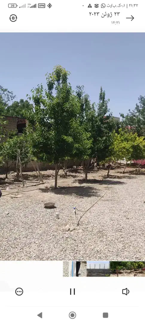 زمین وخونه|فروش زمین و ملک کلنگی|هشتگرد, هشتگرد قدیم|دیوار