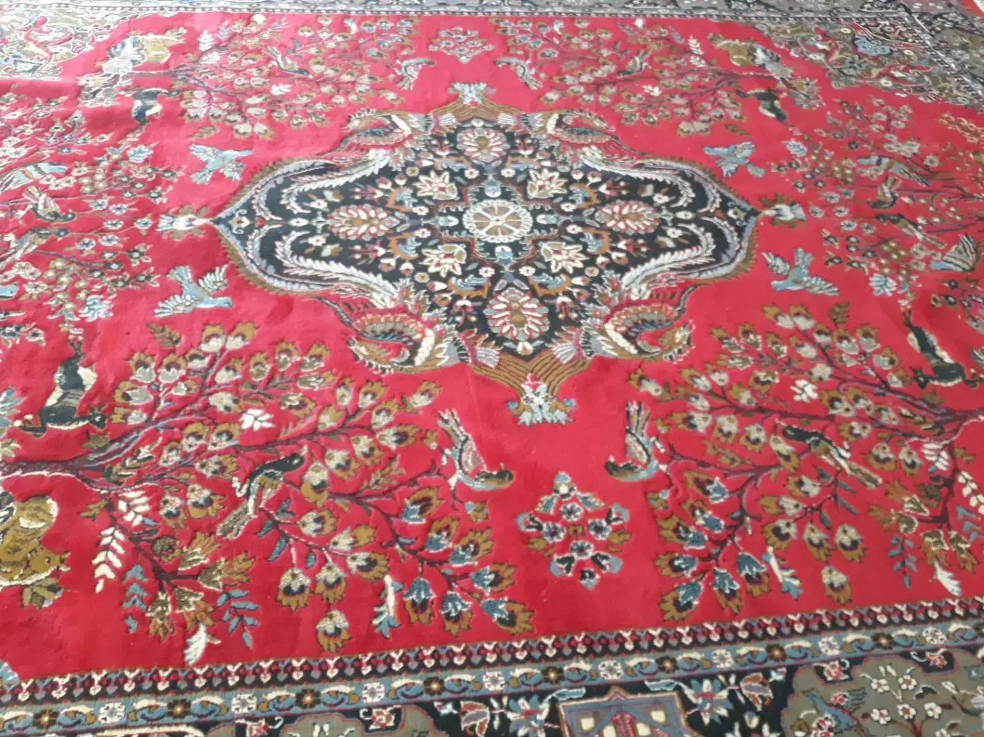 فرش ۱۲متری طرح شکاری|فرش|بروجرد, |دیوار