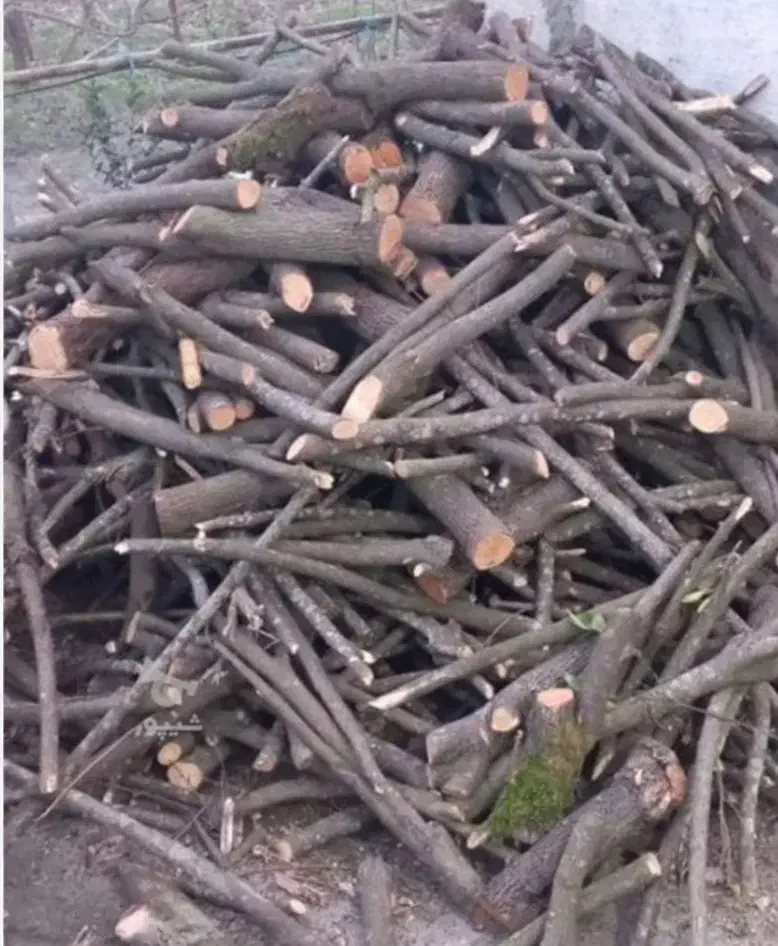 خریدار انواع چوب باغی و...|خدمات باغبانی و درختکاری|کردکوی, |دیوار