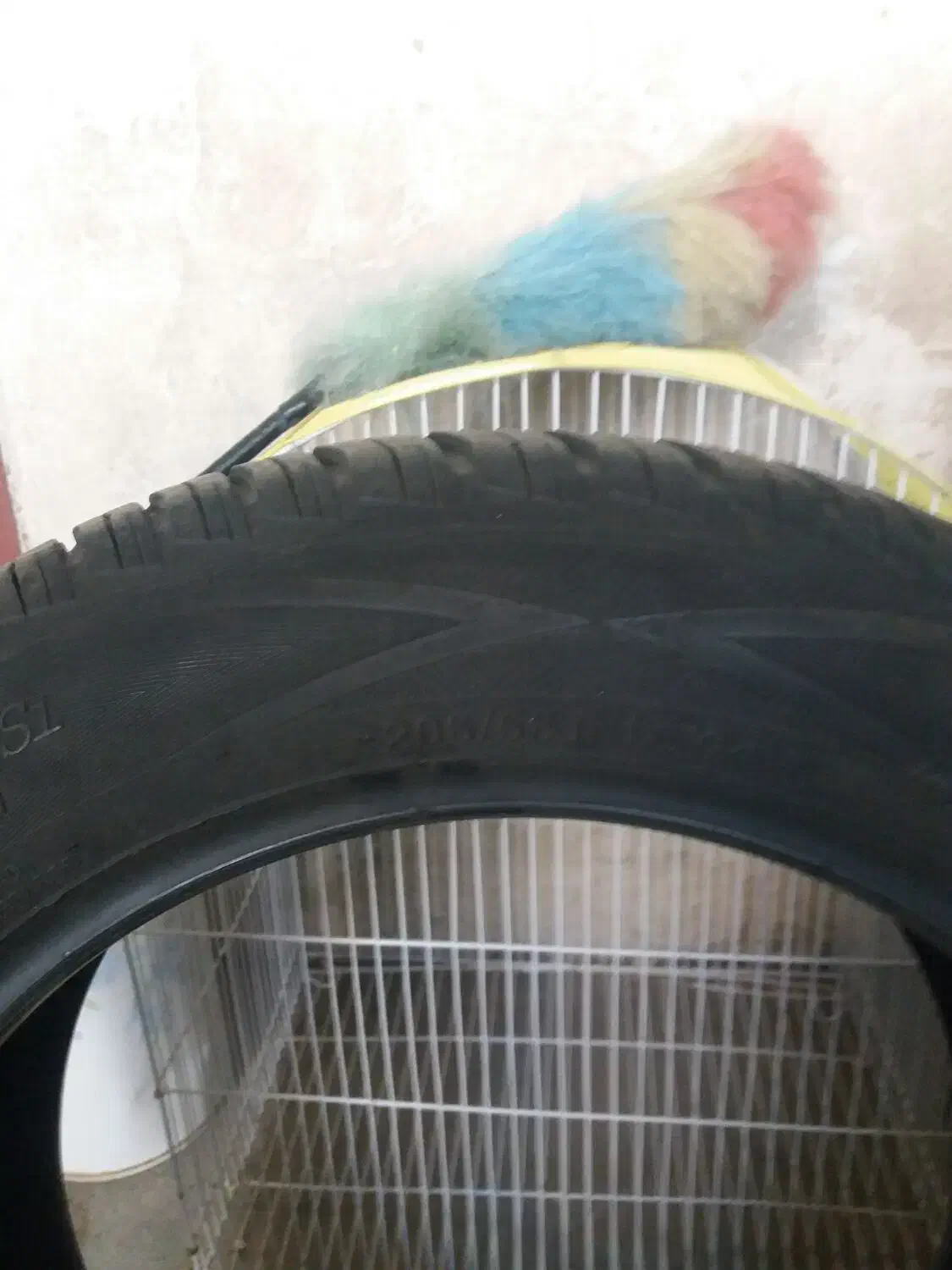 یک حلقه لاستیک ۲۰۵/۵۵/۱۵|قطعات یدکی و لوازم جانبی|نقده, |دیوار