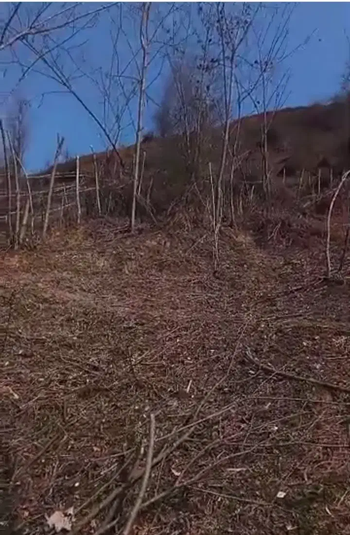 زمینی به مساحت2500متری دروستای کاشکی به فروش میرسد|فروش زمین و ملک کلنگی|سیاهکل, |دیوار