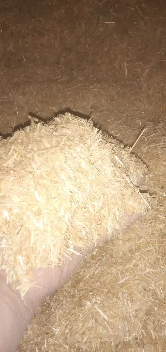 کاه گندم دیم|لوازم جانبی حیوانات|طاغنکوه, |دیوار