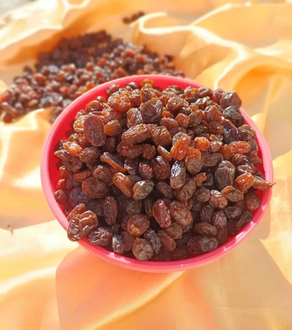 کشمش مخصوص ابگیری|خوردنی و آشامیدنی|لاهیجان, قیام|دیوار