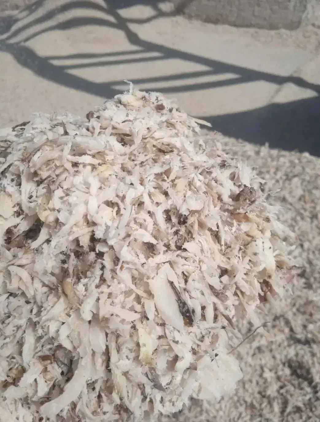 تفاله چغندر|لوازم جانبی حیوانات|خلخال, |دیوار